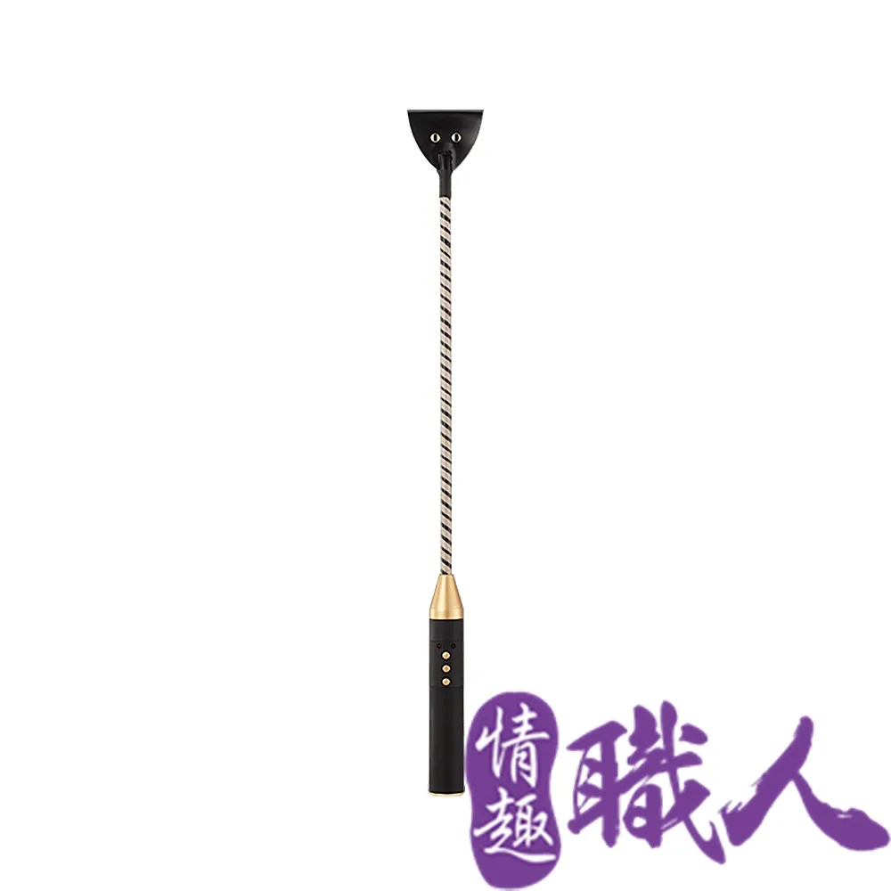 SM情趣｜電擊調教棍 歷史價格詳細信息