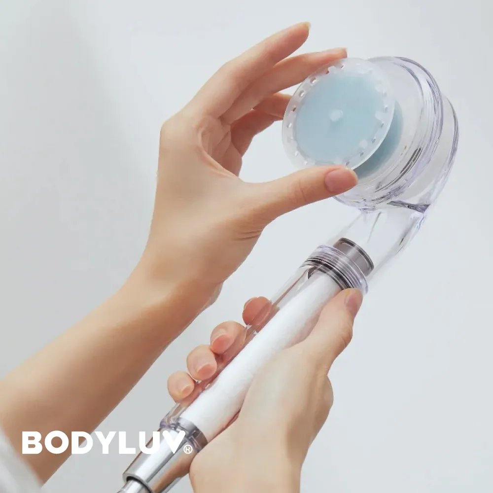 【BODYLUV】極淨安心蓮蓬頭 歷史價格詳細信息