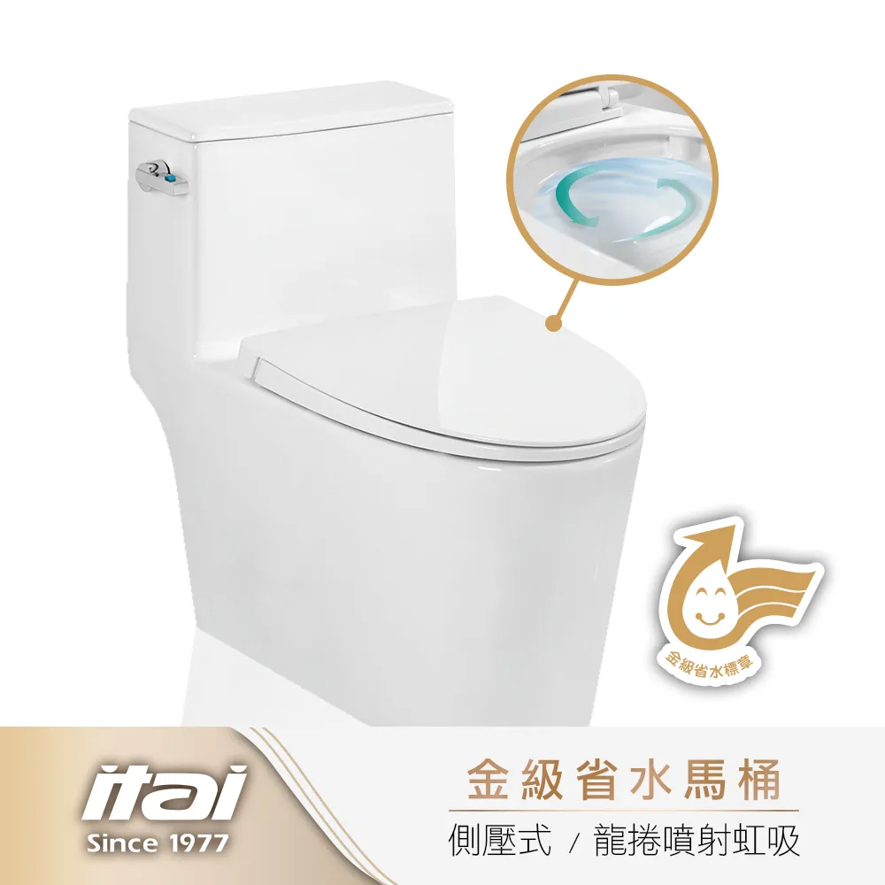 【ITAI 一太】馬桶扶手/安全扶手/有夾式/白色(SGS認證載重/不銹鋼材質) 歷史價格詳細信息