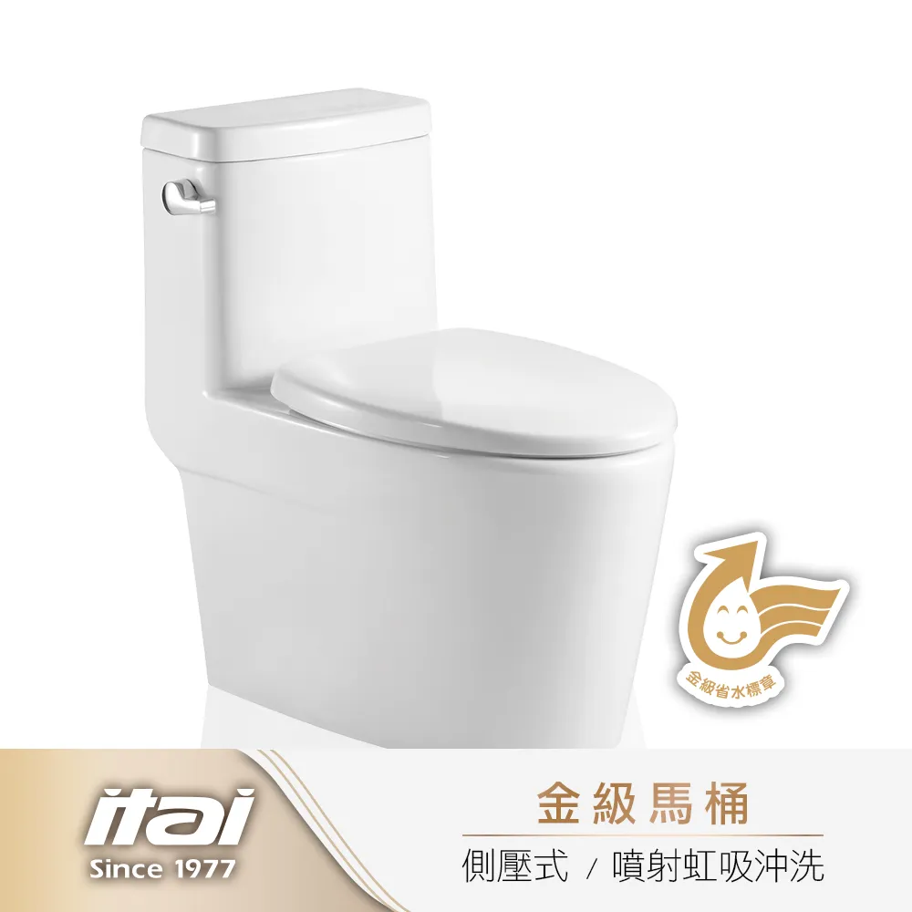 【ITAI 一太】馬桶扶手/安全扶手/有夾式/白色(SGS認證載重/不銹鋼材質) 歷史價格詳細信息