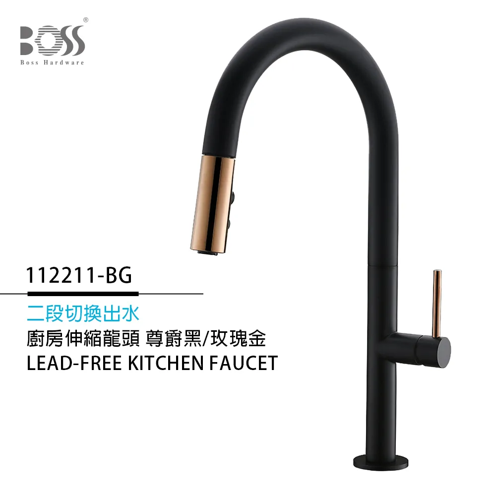 【BOSS】無鉛立式伸縮龍頭 MNA-112211-NB(無安裝) 歷史價格詳細信息