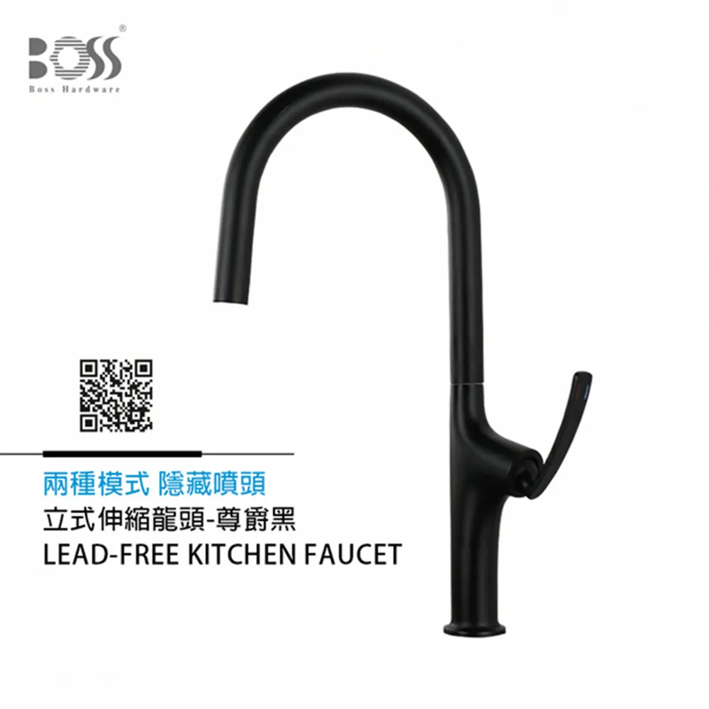 BOSS 立式伸縮龍頭 兩種模式 隱藏 噴頭 有加壓機適用 尊爵黑 P113211MB 價格比較,價格查詢,歷史價格詳細信息