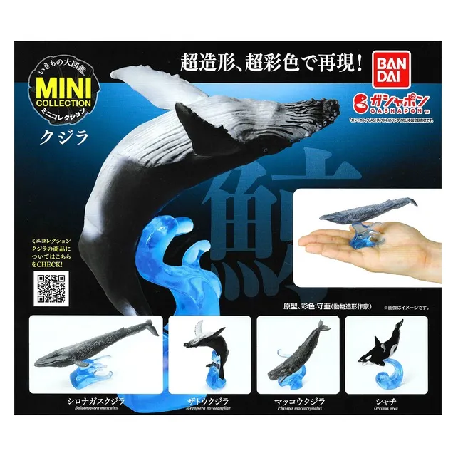 虎鯨 虎鯨娃娃 虎鯨抱枕 虎鯨娃娃抱枕 虎鯨玩偶 虎鯨布偶 殺人鯨 娃娃 玩偶 殺人鯨布偶 殺人鯨抱枕 歷史價格詳細信息