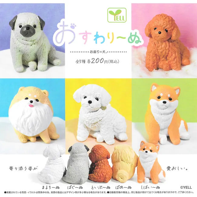 全新日影《狗狗刑事：純白之絆》DVD 市原隼人 戶田惠梨香 村上淳 時任三郎 松重豐 歷史價格詳細信息