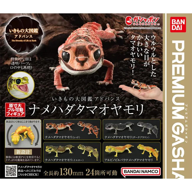 【全新正版】《大尾鱸鰻 DVD》豬哥亮、郭采潔、楊祐寧、林美秀、王彩樺 歷史價格詳細信息