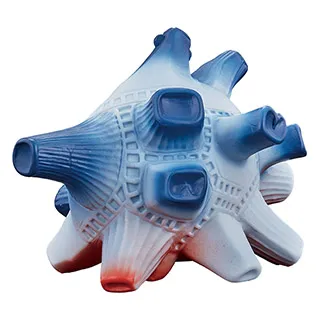 特攝 超人力霸王歐布 Ultraman 奧特曼 銀河炫光變身環 卡牌 對戰 BANDAI  機台 歷史價格詳細信息