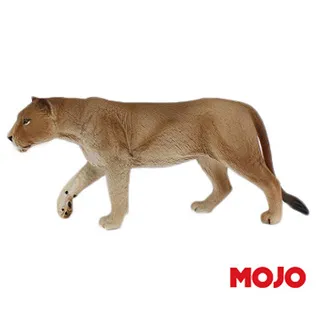 【MOJO FUN 動物模型】動物星球頻道獨家授權 - 小噴火龍 387130 歷史價格詳細信息