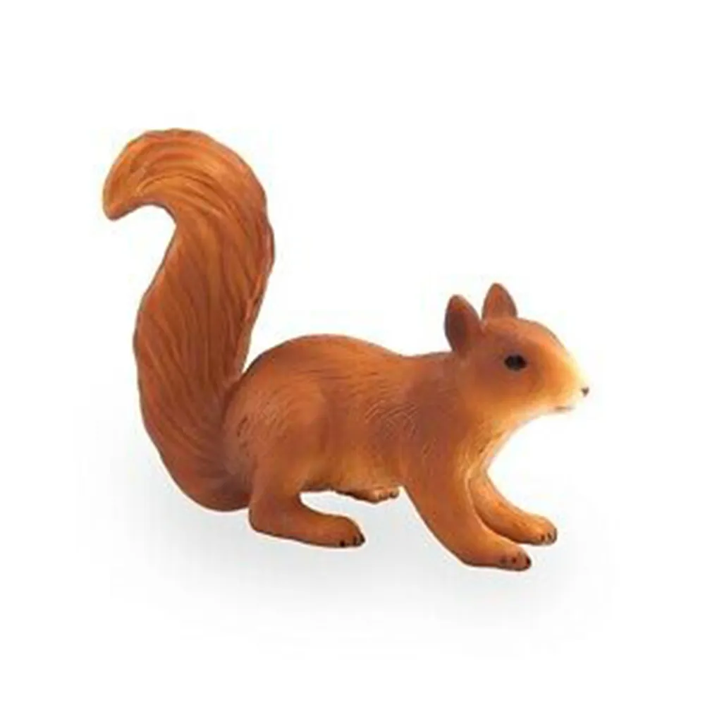 跑姿分析：生物力學物理治療師的跑步醫學 歷史價格詳細信息