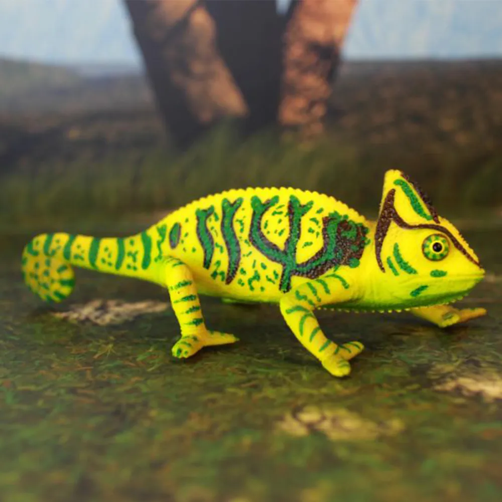 爬蟲動物專用飼料盤 L 歷史價格詳細信息