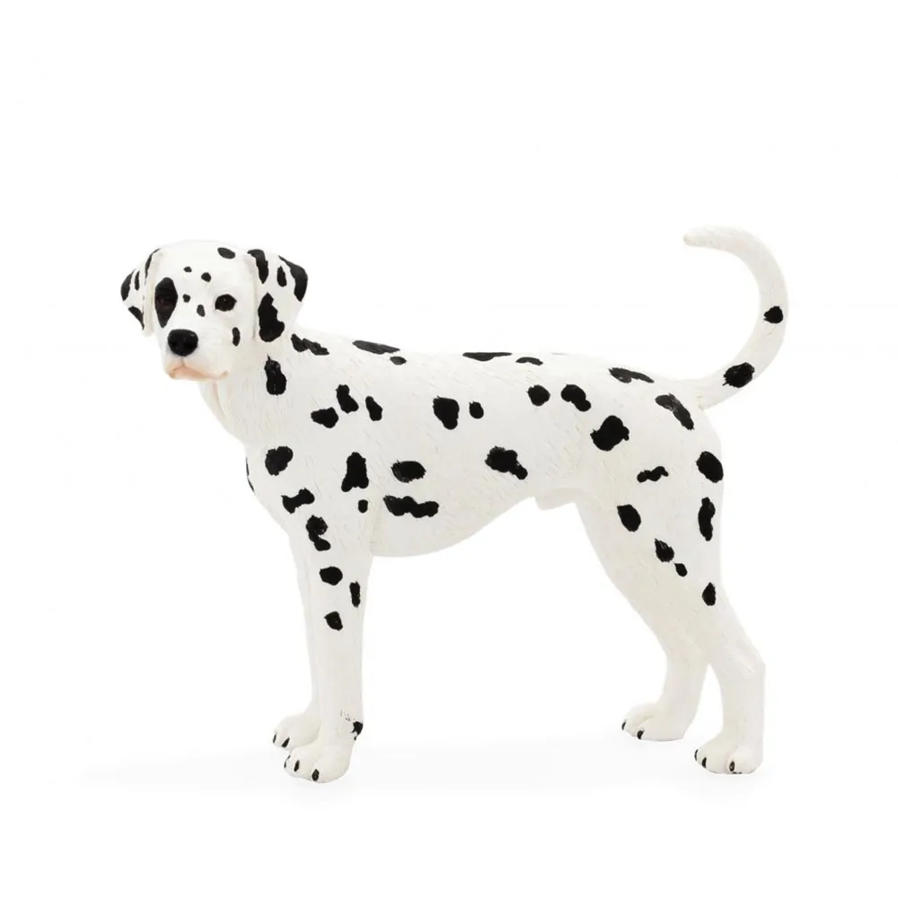 動物星球  大尺寸 電競滑鼠墊 餐墊 辦公桌墊 歷史價格詳細信息