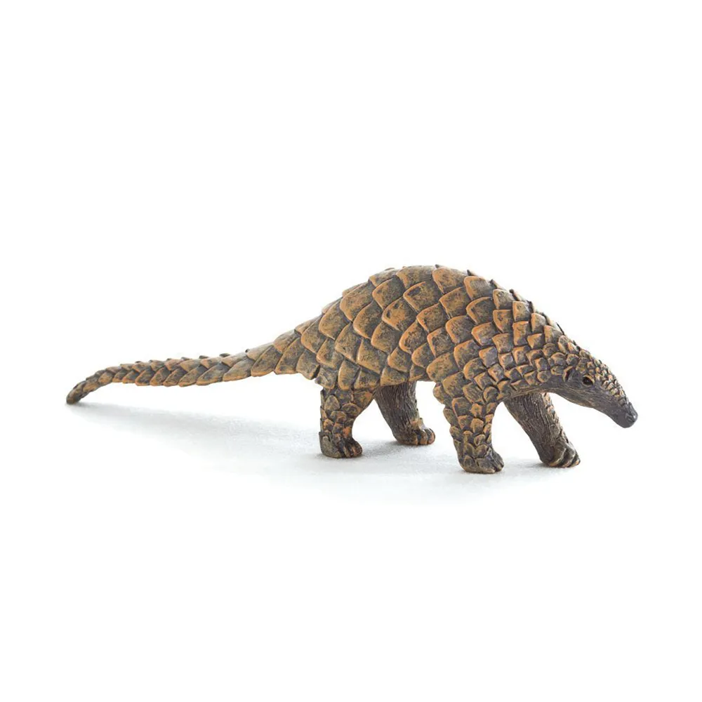 爬蟲動物專用飼料盤 L 歷史價格詳細信息