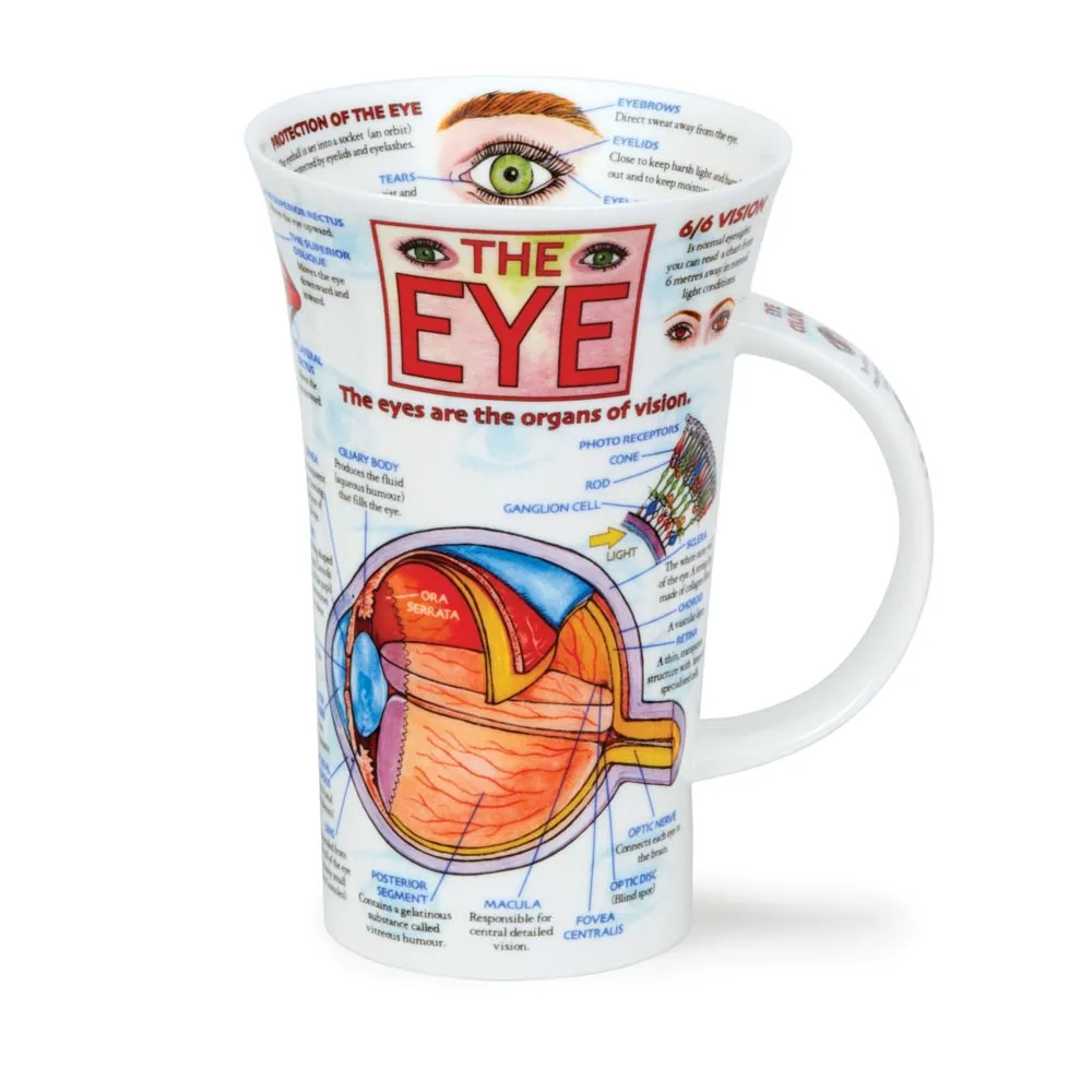 【英國 Dunoon】關於牙齒馬克杯《WUZ屋子-台北》Dunoon 牙齒 知識杯 杯 馬克杯 杯子 禮物 醫學 歷史價格詳細信息