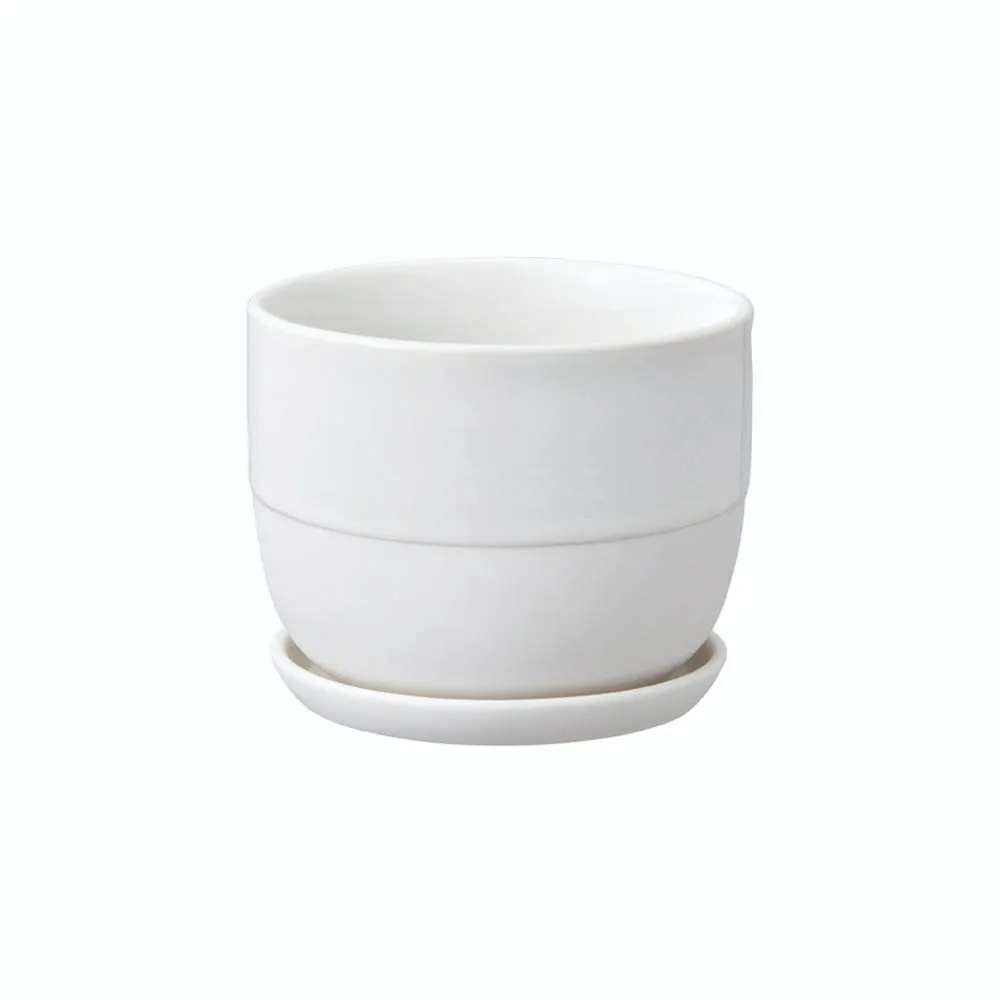 193  日本龍銀  銀幣  10錢  明治10年 歷史價格詳細信息