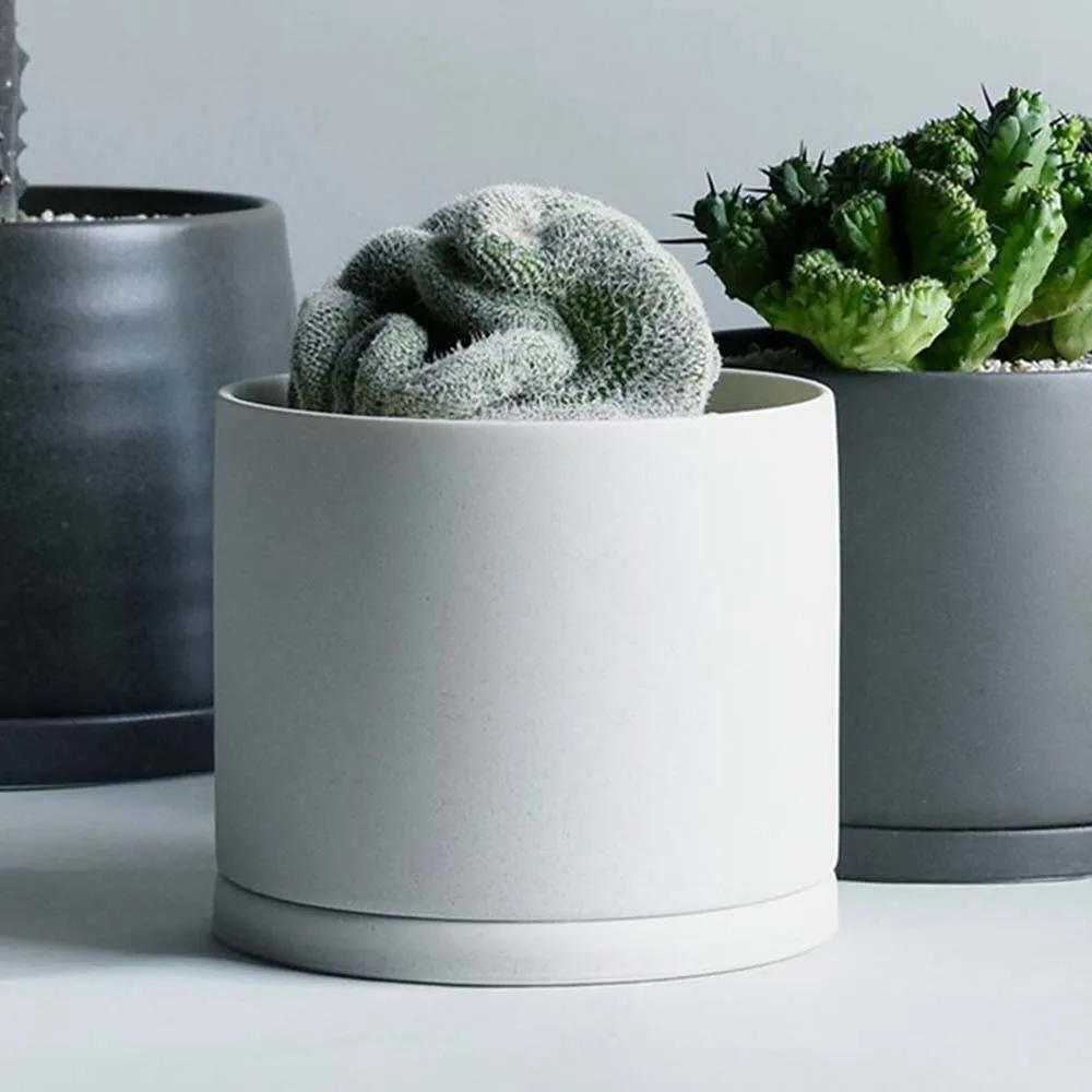 10-191 拼圖 夜光拼圖 月亮之吻 1000片 (75X50cm) 歷史價格詳細信息