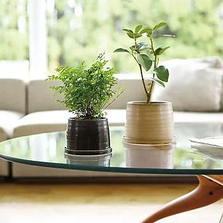 【WUZ屋子】日本KINTO PLANT POT 191陶瓷花盆10.5cm-深灰 歷史價格詳細信息