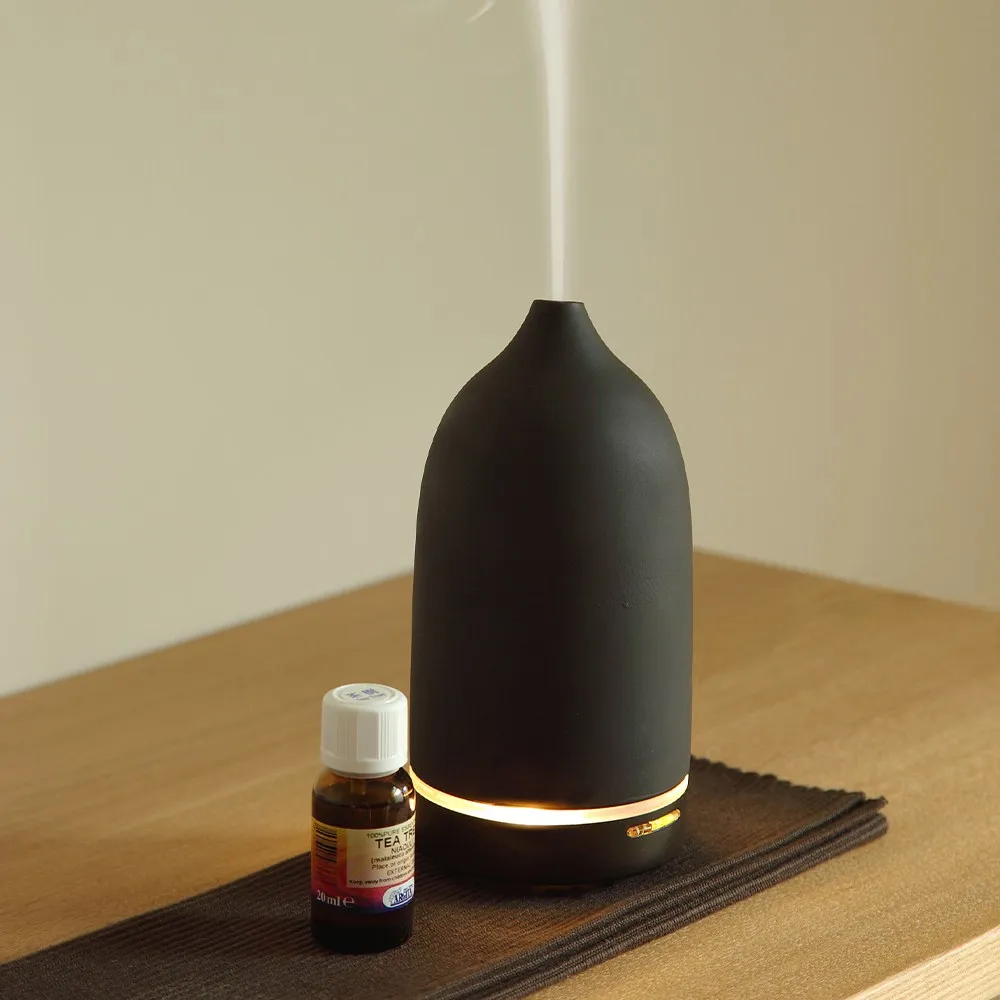 TOAST 香氛精靈水氧機 - 美禪機型 - 兩色可選(LT09333-18/LT09333-18) 歷史價格詳細信息