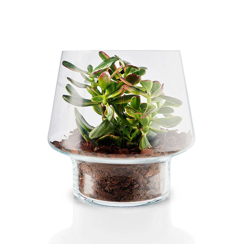 【Eva Solo】丹麥玻璃花瓶-21cm 歷史價格詳細信息