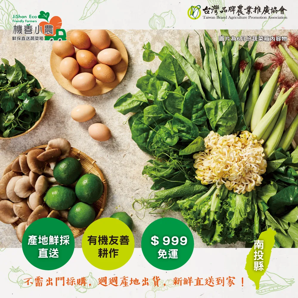 【機善小農_蔬菜箱】南投縣_9件(有機友善/產地鮮採直送/支持家鄉好農產) 歷史價格詳細信息