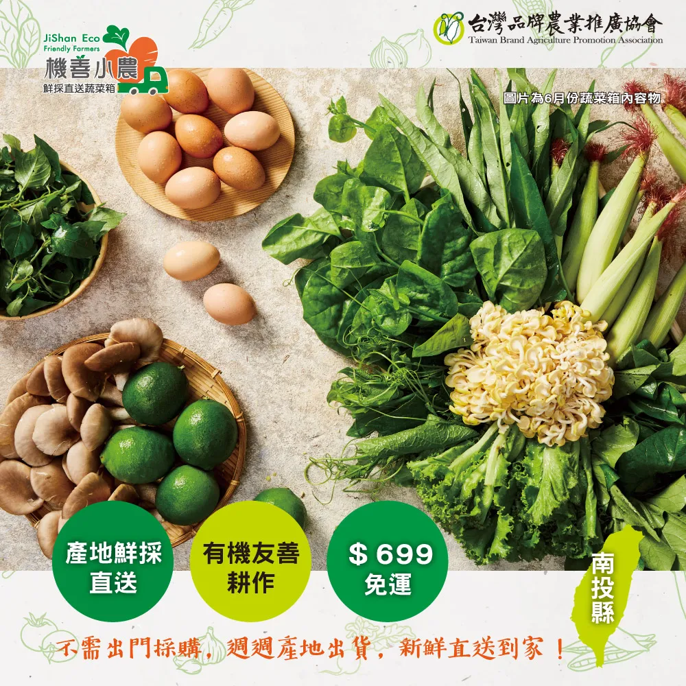 【機善小農_蔬菜箱】南投縣_9件(有機友善/產地鮮採直送/支持家鄉好農產) 歷史價格詳細信息