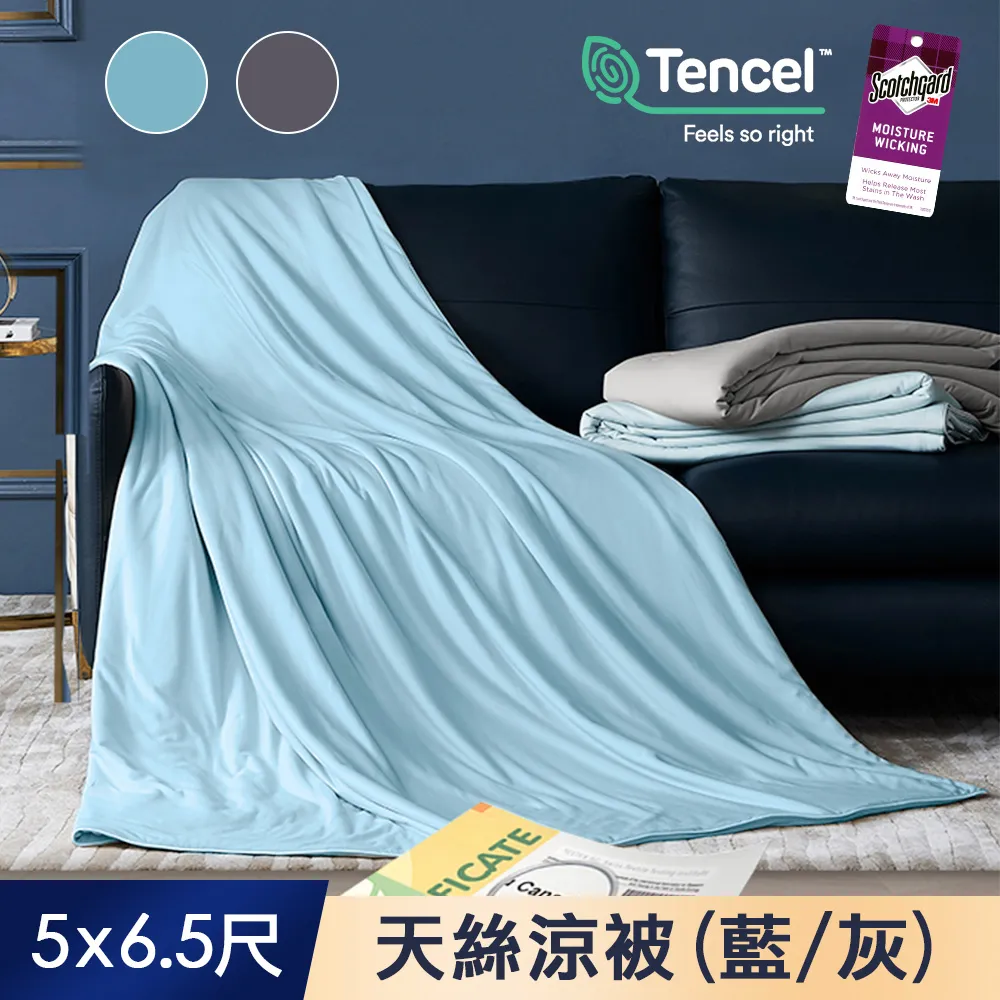 J-bedtime素色天絲TENCEL®四季涼被150*195公分 歷史價格詳細信息