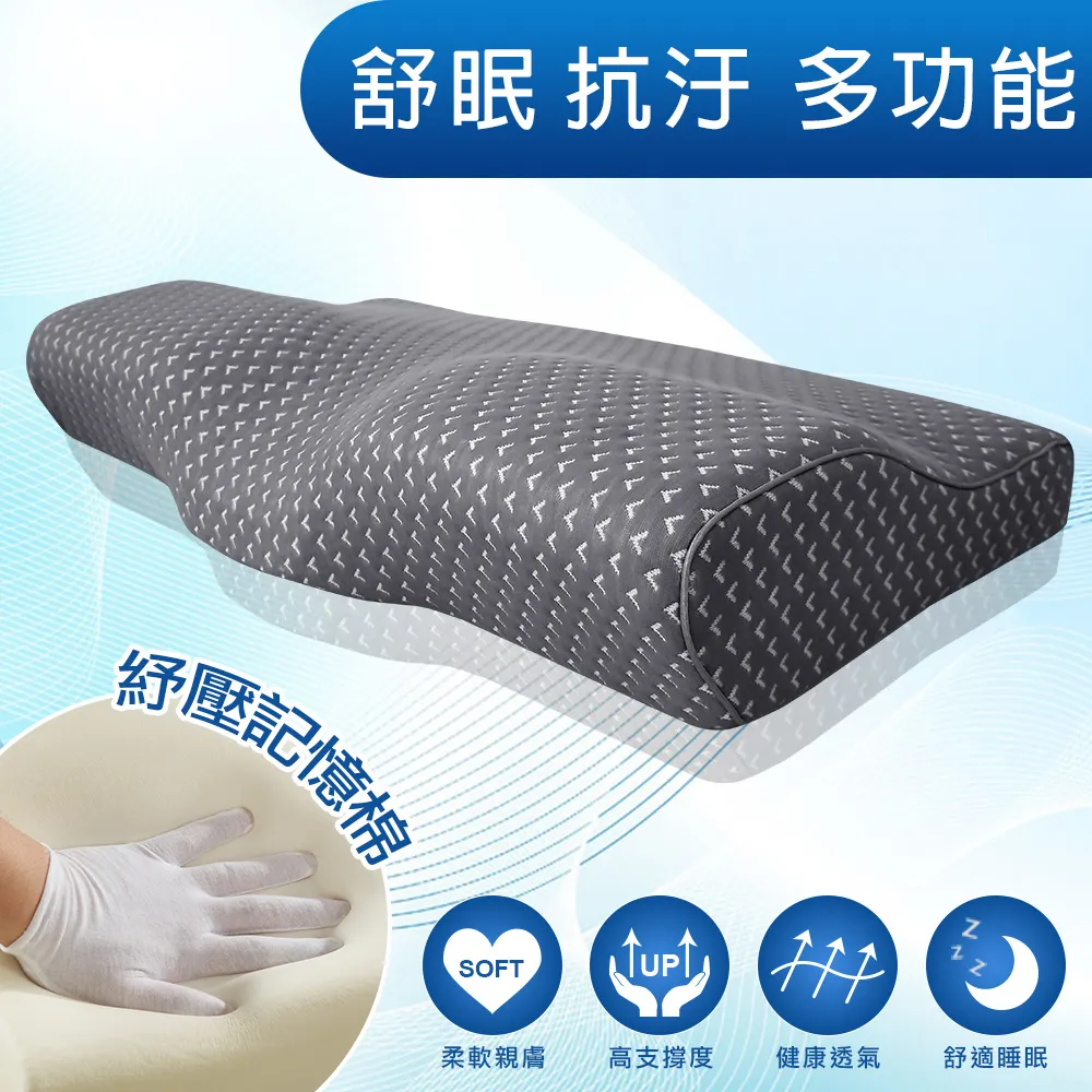 Missya 日本3D釋壓止鼾透氣蝶型枕2入-58x32公分【附贈深藍色枕套2入】 歷史價格詳細信息