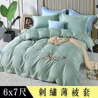 【Betrise晨暮破曉】環保印染抗菌天絲素色刺繡歐式壓框薄被套一入 6x7尺-雙人 歷史價格詳細信息