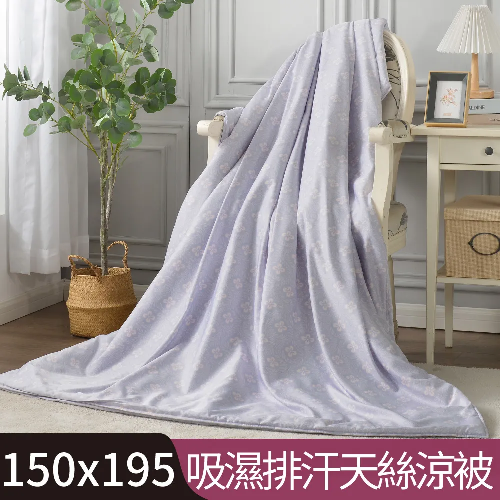 【Betrise曉花】吸濕排汗天絲鋪棉涼被/四季被 5X6.5尺一入(獨家加大尺寸)- 採用3M專利吸濕排汗藥 歷史價格詳細信息