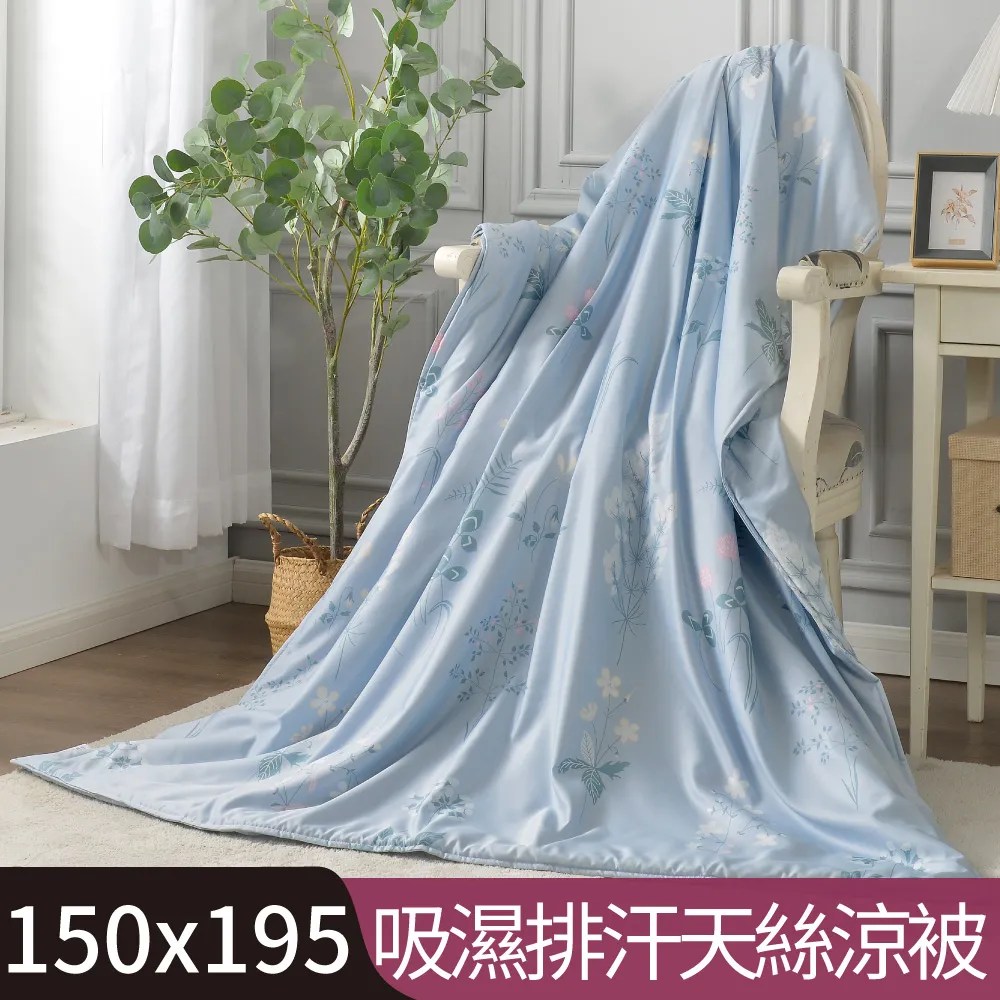 【Betrise淺笑伊人】加大 C量能系列 100%奧地利天絲™光淬石墨烯四件式兩用被床包組 歷史價格詳細信息