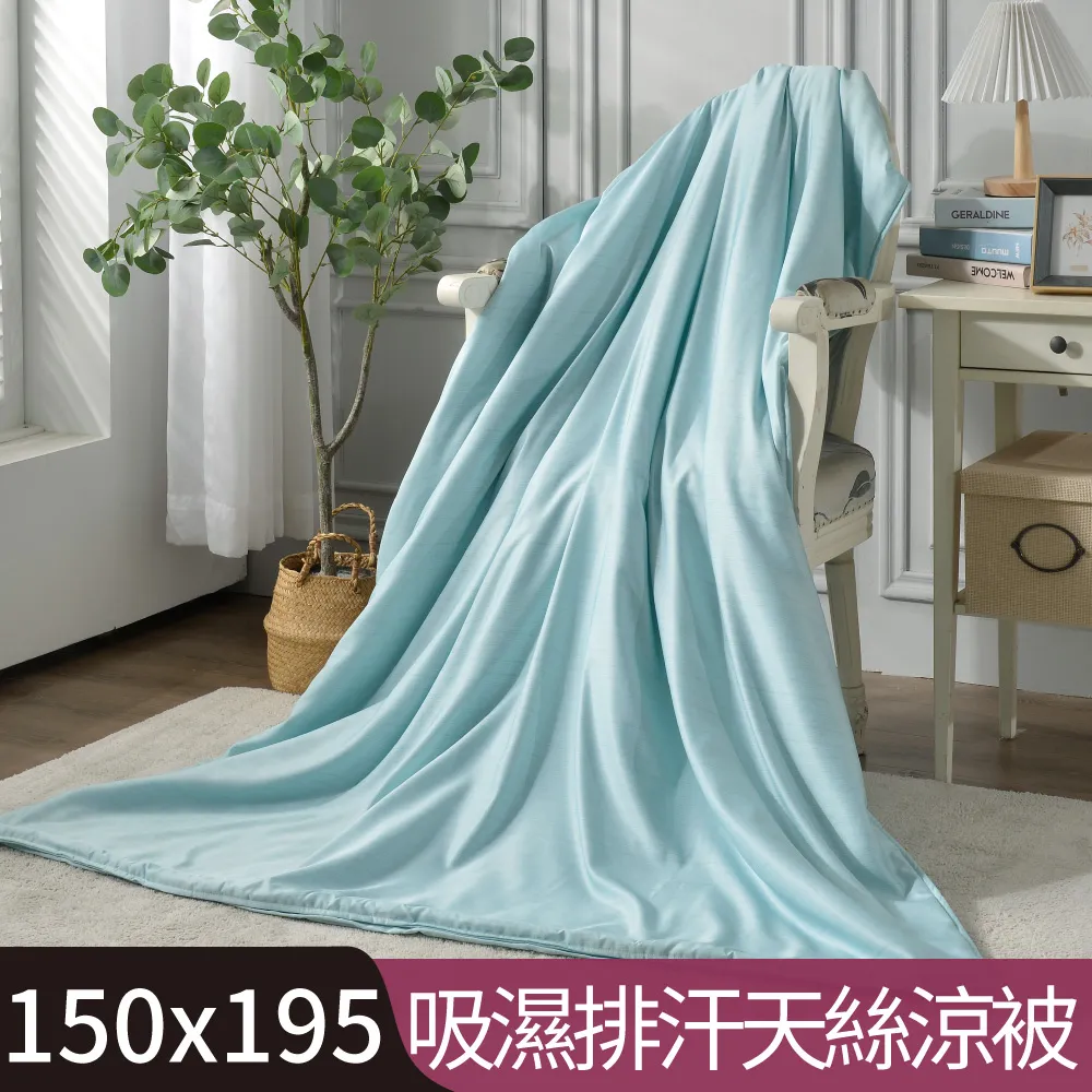 【Betrise星空】3M吸濕排汗天絲涼被5X6.5尺一入(獨家加大尺寸)-採用3M專利吸濕排汗藥劑 歷史價格詳細信息