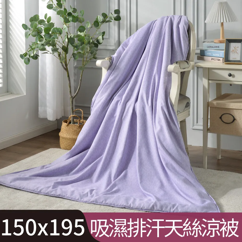 【Betrise葉露】3M吸濕排汗天絲涼被5X6.5尺一入(獨家加大尺寸)-採用3M專利吸濕排汗藥劑 歷史價格詳細信息