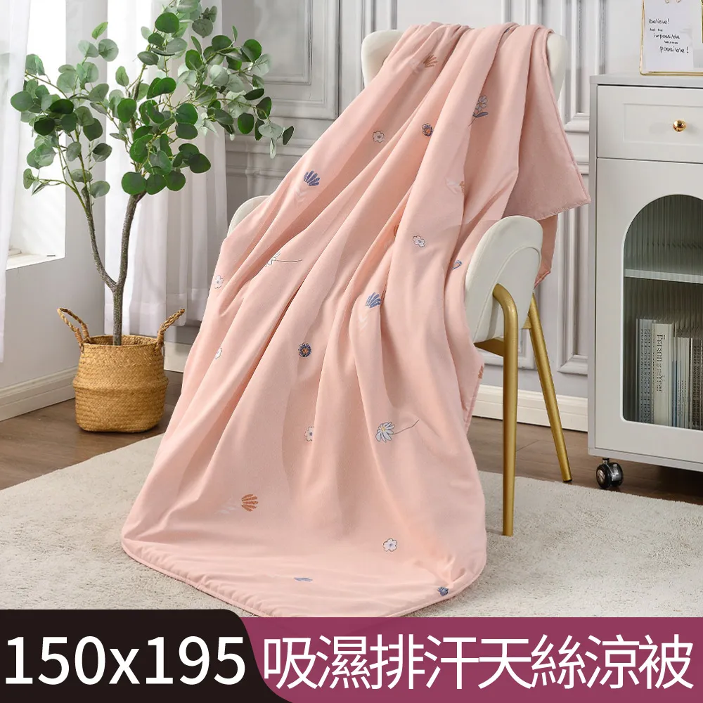 【Betrise曉花】吸濕排汗天絲鋪棉涼被/四季被 5X6.5尺一入(獨家加大尺寸)- 採用3M專利吸濕排汗藥 歷史價格詳細信息