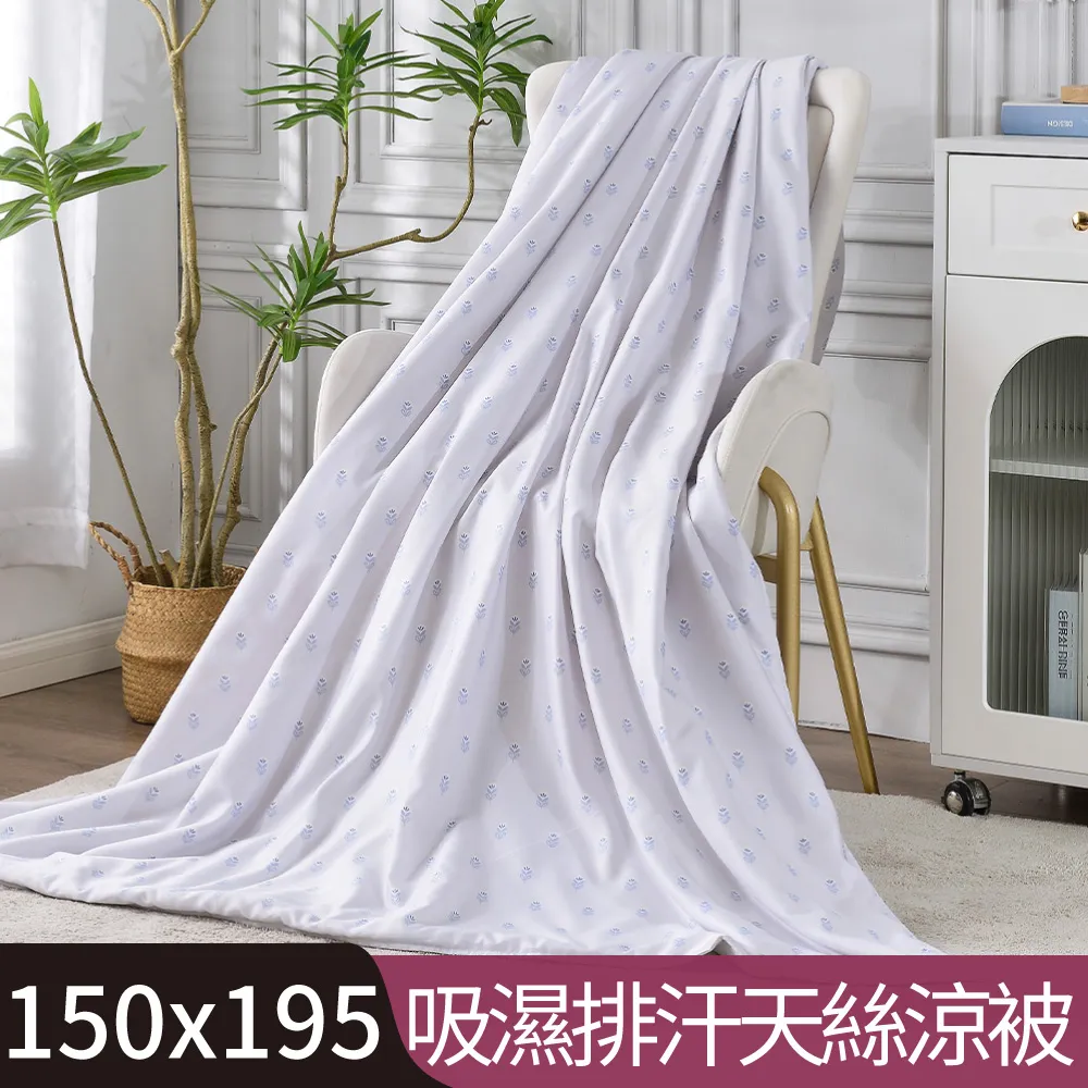 【Betrise葉之語】加大-3M專利天絲吸濕排汗四件式兩用被床包組-採用3M專利吸濕排汗藥劑 歷史價格詳細信息