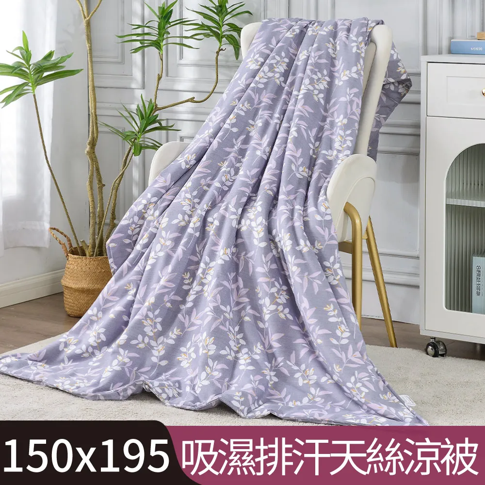 枝芽 涼感天絲涼被/3M吸濕排汗技術/空調被/四季被 歷史價格詳細信息