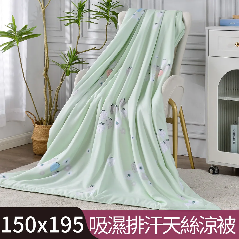 【Betrise春芽】單/雙/加 吸濕排汗天絲鋪棉涼被薄床包組(獨家加大尺寸)- 採用3M專利吸濕排汗藥劑 可超取 歷史價格詳細信息