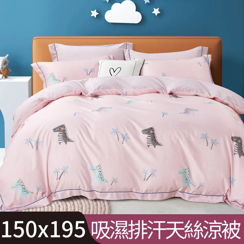 【Betrise小伙伴-粉】植萃系列100%奧地利天絲鋪棉涼被/四季被 5X6.5尺一入(獨家加大尺寸) 歷史價格詳細信息