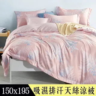 【Betrise揚舞藍】加大-3M專利天絲吸濕排汗四件式兩用被床包組-採用3M專利吸濕排汗藥劑 歷史價格詳細信息