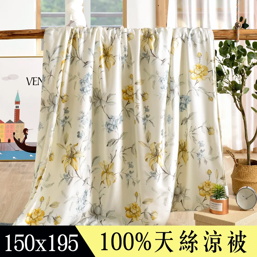 【Betrise醉花都】植萃系列100%奧地利天絲鋪棉涼被/四季被 5X6.5尺一入(獨家加大尺寸) 價格比較,價格查詢,歷史價格詳細信息