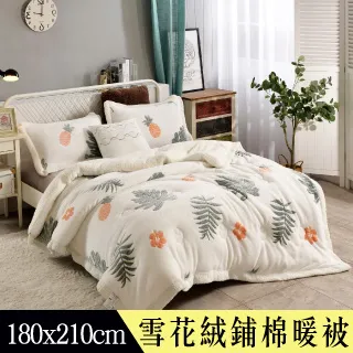 【Betrise雪融白茶】植萃系列100%奧地利天絲鋪棉涼被/四季被 5X6.5尺一入(獨家加大尺寸) 歷史價格詳細信息