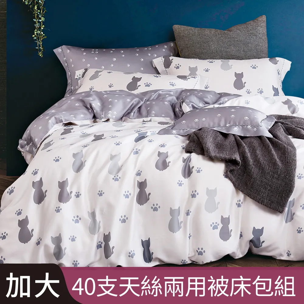 【Betrise貓說午後】C量能系列 單人/雙人/加大/特大 100%奧地利天絲™光淬石墨烯四件式兩用被床包組 可超取 歷史價格詳細信息