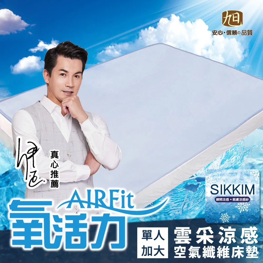 【AIRFit】勁涼長型側睡多功能輔助舒眠枕 歷史價格詳細信息