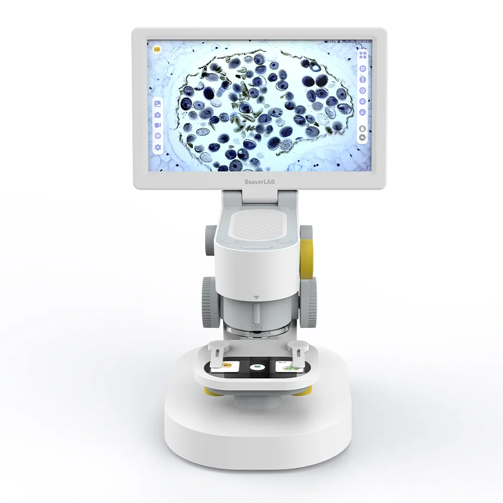 大微智能裝備 漏電斷路器NXBLE系列1P2P3P4P小型空開 家用保護器 歷史價格詳細信息