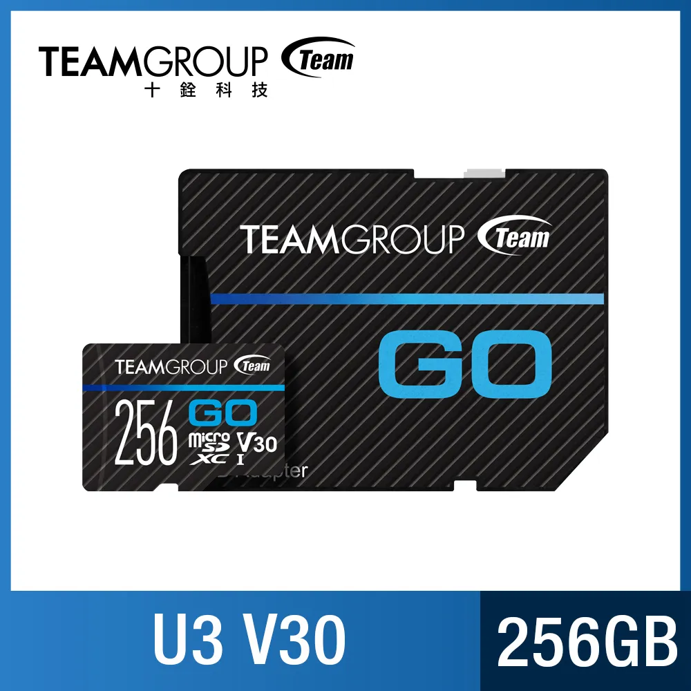十銓 TEAM GO Card UHS-I U3 32G 運動攝影記憶卡(贈品) 歷史價格詳細信息