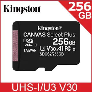 【Kingston 金士頓】256GB microSDXC TF UHS-I U3 V30 A2 記憶卡(SDCG3/256GB 平輸) 歷史價格詳細信息