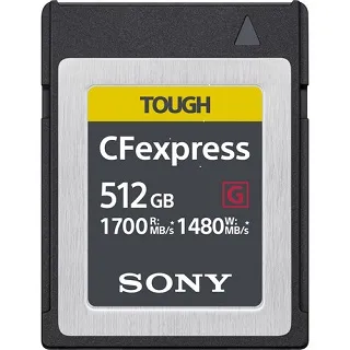 Sony CEB-G 系列 CFexpress CEB-G128 / CEB-G256 / CEB-G512 索尼公司貨 歷史價格詳細信息