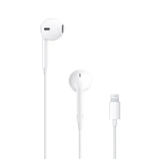 EarPods Lightning 蘋果原廠耳機 3.5mm轉接器 iPhone12 13 14 11 X 8 iPad 歷史價格詳細信息