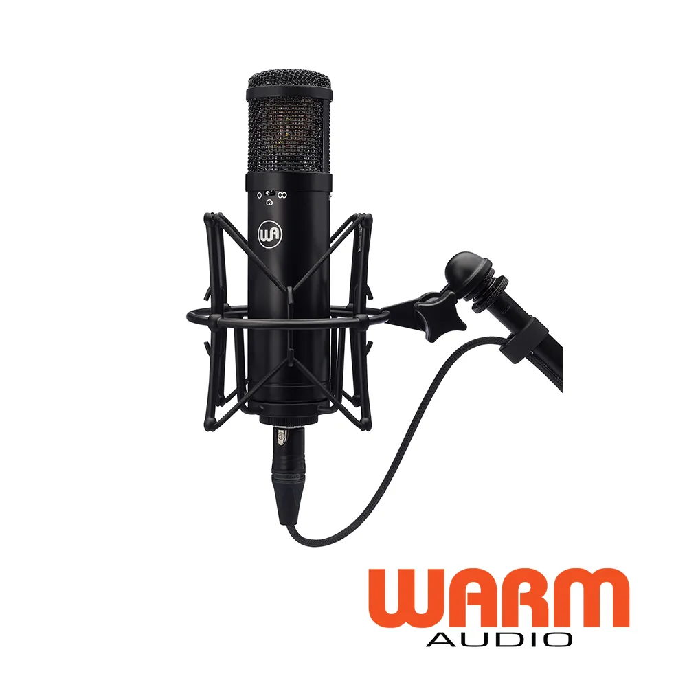 Warm Audio WA-47JR 電容式 麥克風 三指向性收音 公司貨 WA 47 JR 黑色/銀色【凱傑樂器】 歷史價格詳細信息