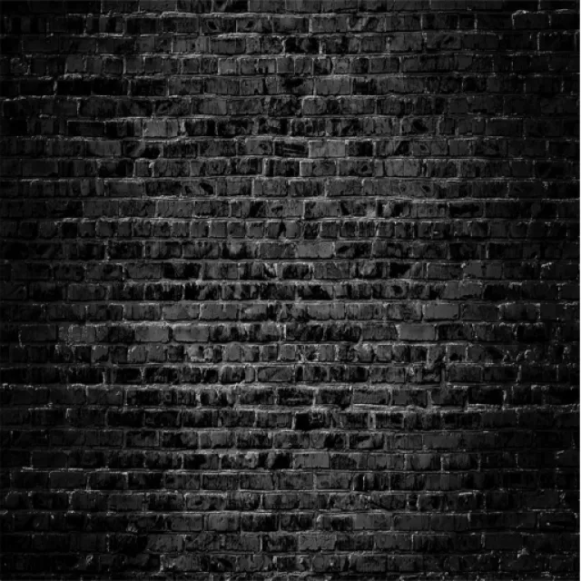 Keystone 背景布拉平彈力夾(8入) 歷史價格詳細信息