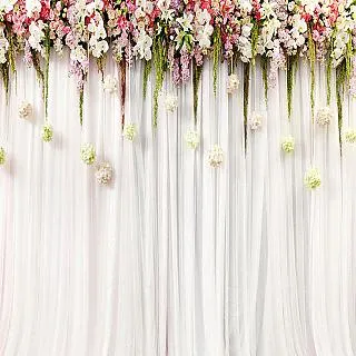 Keystone 背景布拉平彈力夾(8入) 歷史價格詳細信息