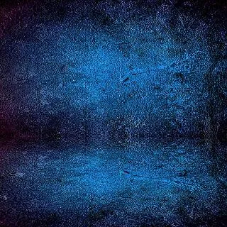 Keystone 背景布拉平彈力夾(8入) 歷史價格詳細信息