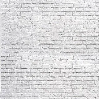 Keystone 背景布拉平彈力夾(8入) 歷史價格詳細信息